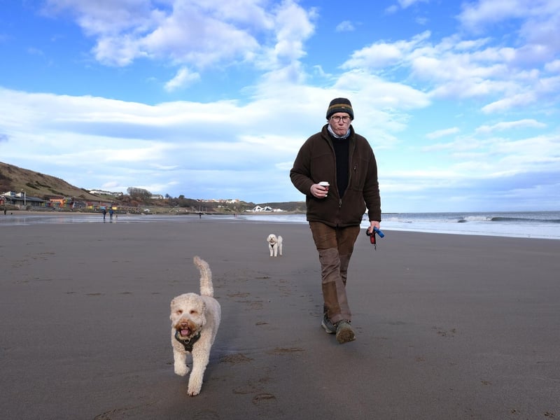 Enjoying a leisurely stroll. picture: Richard Ponter