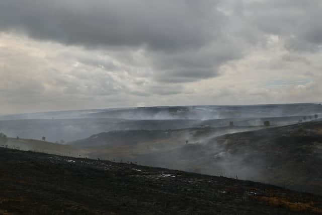 The Whitby Moorland Fires...the smouldering land. photo: Richard Ponter