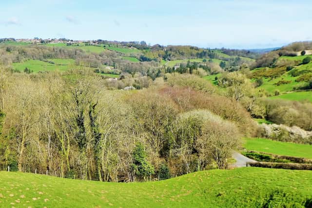 Egton and its bridge.