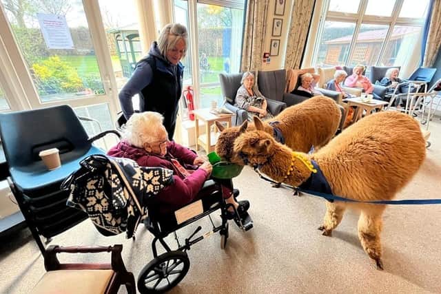 The animals, especially the Alpacas were very popular with residents at MHA Priceholme