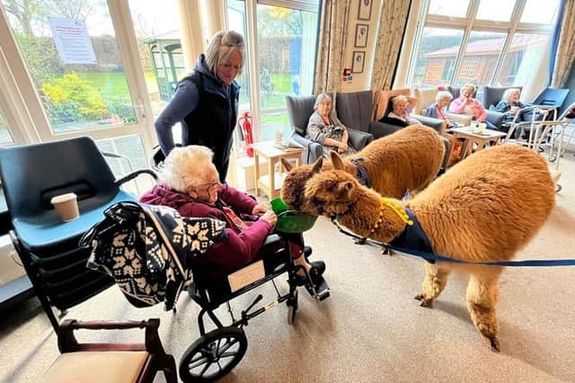 The animals, especially the Alpacas were very popular with residents at MHA Priceholme