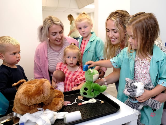 These vets are looking after the frog, cat and dog.