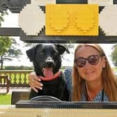 Daisy the labrador with Sharron Wilson, events and activities officer, on one of the BRICKLIVE Animal Paradise exhibition pieces at Sewerby Hall and Gardens, ready for the Canine Carnival.