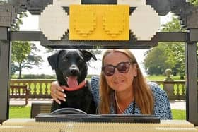 Daisy the labrador with Sharron Wilson, events and activities officer, on one of the BRICKLIVE Animal Paradise exhibition pieces at Sewerby Hall and Gardens, ready for the Canine Carnival.