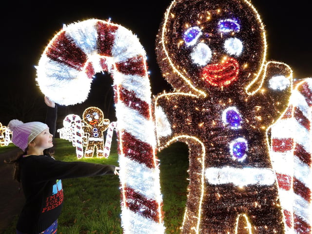 Poppy enjoys the light trails at Sewerby Hall Winter Wonderland. picture: Richard Ponter