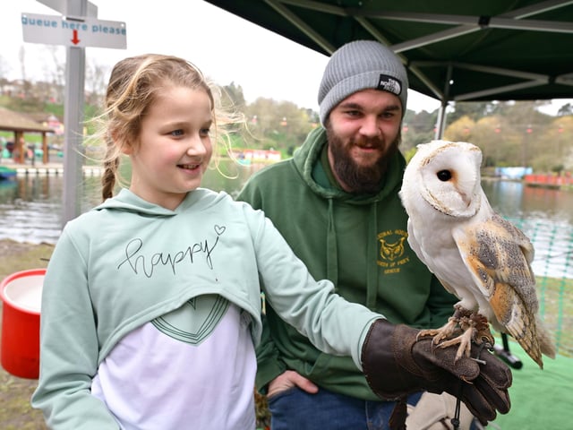 Meeting an owl!