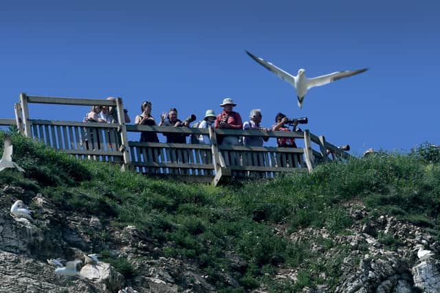 Bird watchers view the Gannets at Bempton Cliff. Photo: Simon Hulme