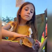 Get hands on with lizards at Nunnington Hall.
