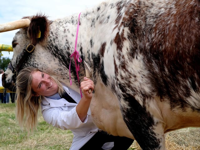 The Egton Show is on August 21. 
Alisha Lack is pictured at the 2023 show.