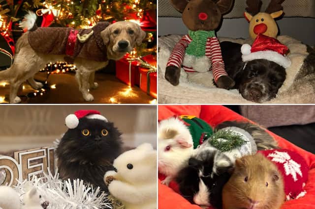 Check out our reader's festive friends below!