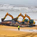 The respectfully orchestrated removal of a Fin Whale carcass on the South Shore Beach Bridlington, East Yorkshire, after it became beached, and unfortunately died earlier this week.
