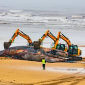 The respectfully orchestrated removal of a Fin Whale carcass on the South Shore Beach Bridlington, East Yorkshire, after it became beached, and unfortunately died earlier this week.