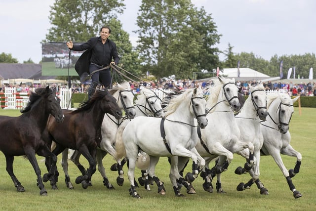 Lorenzo and his highly trained horses took to the main ring every day at the show with an incredible performance