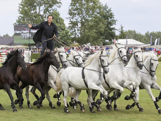 Lorenzo and his highly trained horses took to the main ring every day at the show with an incredible performance