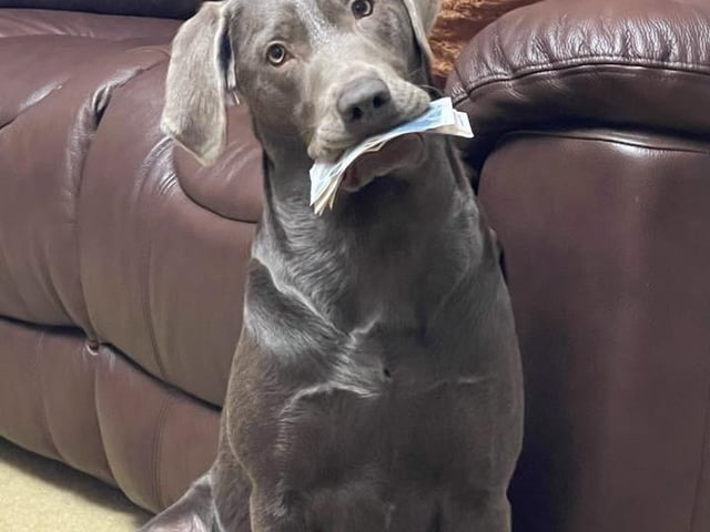 The lovely Luna with some stolen cash!