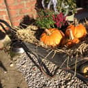 Pumpkins