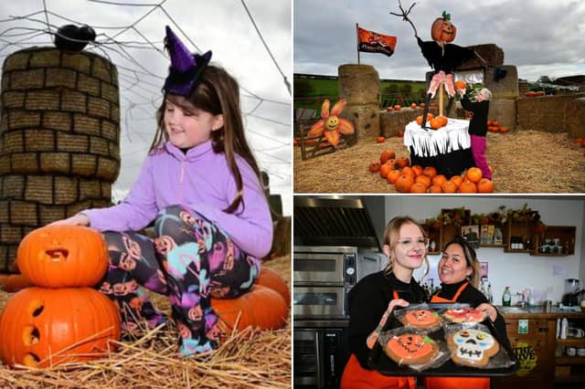 Humble Bee Farm Pumpkin Festival photos