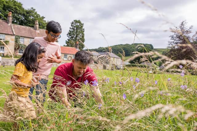 You can discover the North York Moors at Danby Lodge National Park Centre.