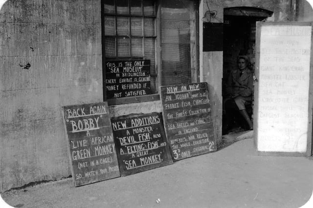 Signs selling fish in Bridlington in 1949.