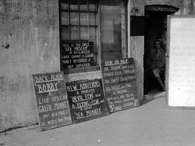 Signs selling fish in Bridlington in 1949.