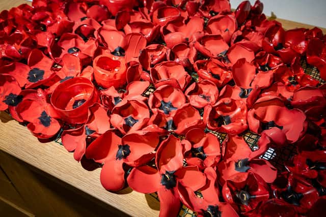 The poppies, made from plastic bottles and painted red.