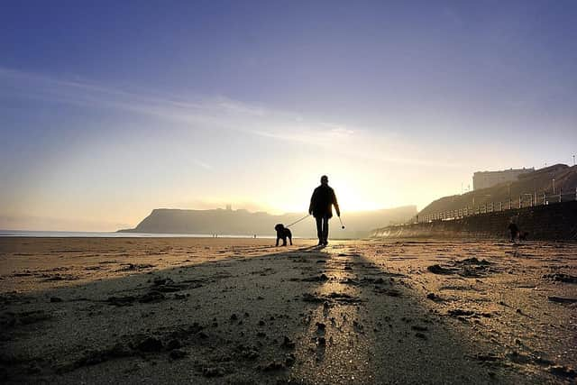 Dog walker on Scarborough's North Bay Beach. (Pic credit: Richard Ponter)