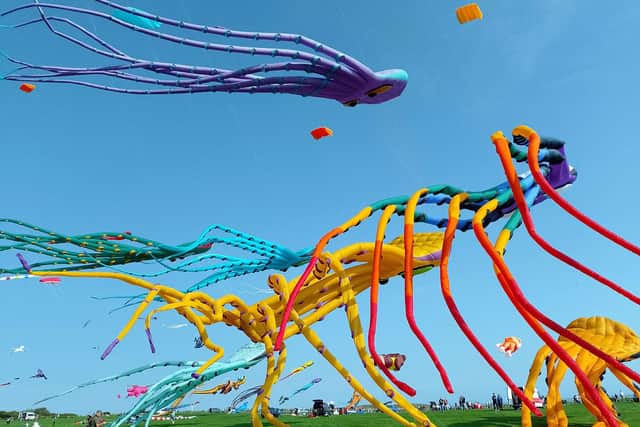 People watch the kites flying at Filey Kite festival.