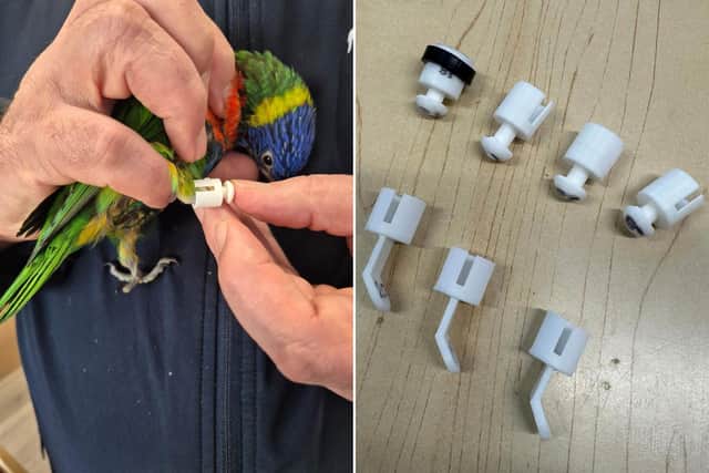 Bridlington Animal Park have rescued a baby Rainbow Lorikeet who is missing a foot and part of his leg. Photo courtesy of Bridlington Animal Park.