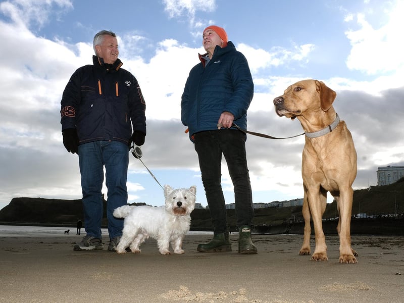 Dog walking on Scarborough's North Bay.