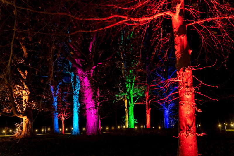 The lights were full of colour, brightening up the dreary winter weather of December.