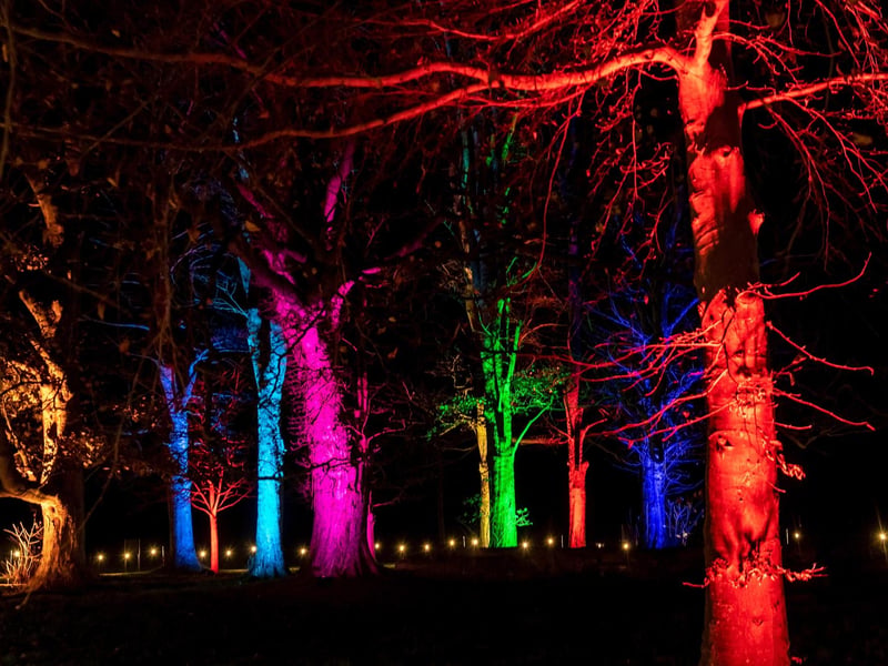 The lights were full of colour, brightening up the dreary winter weather of December.