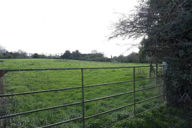 The development site