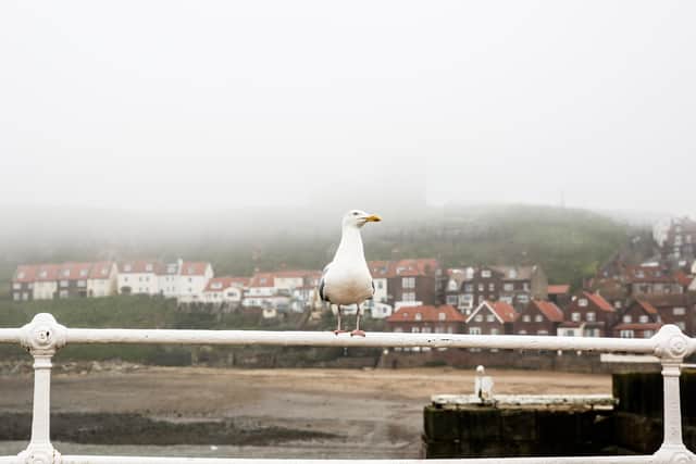 It looks set to remain dull and foggy over the Yorkshire coast this weekend.