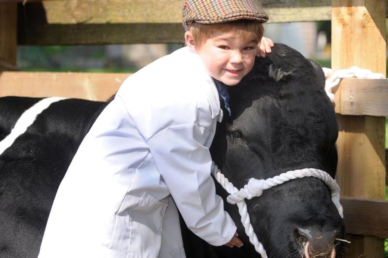 Thornton Le Dale Show 2011; three-year-old William Mackley from Folkton, Scarborough with Bluegrass Firestar, a British Blue thats entering its second show.