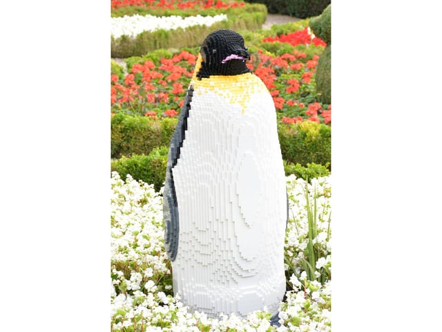 Although emperor penguins are normally spotted in much cooler climes, this sculpture is displayed with the last of the summer blooms found in the gardens of Sewerby Hall.
