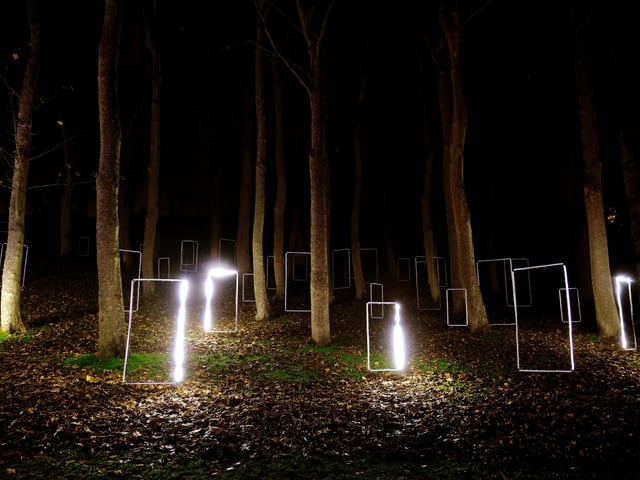 Lighting up the treeline.