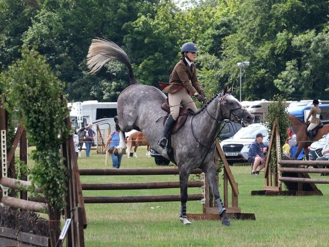 Show jumping