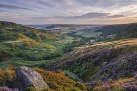 Fryuupdale, in the North York Moors National Park.
picture: Paul Kent.