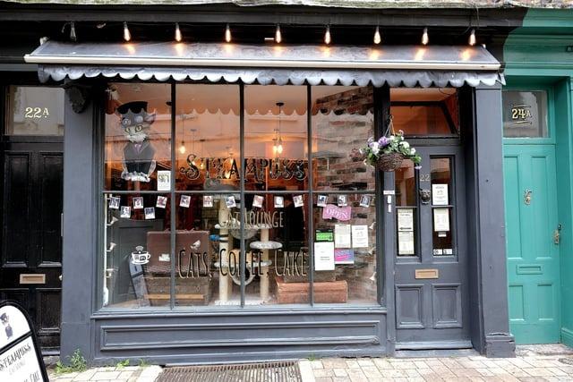 Coming in the top place to enjoy a cup of tea is Steampuss Cafe, located on Bar Street. A Tripadvisor review said: "Just purrfect! I loved this little place. The owners went above and beyond to make you feel welcome."