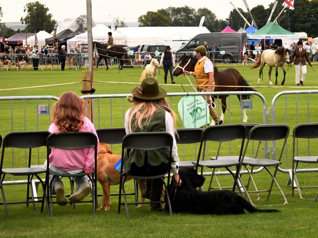 Members of the public watching the equestrian events at the show