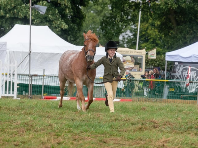 Willow Tate, aged 10, of Great Ayton, runs with Clanmill Cello, whilst taking part in Class 32, 'Welsh A in Hand' Mountain and Moorland Ponies.