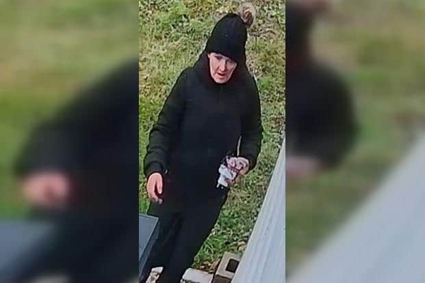 North Yorkshire Police would like to speak with the person pictured in relation to a theft which occurred in Ruswarp, Whitby, on December 25, 2025, at 2:50pm.