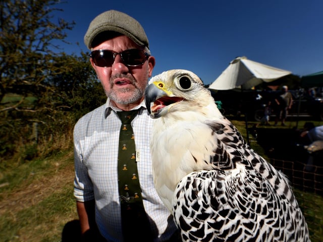 Mark Allen of North Yorkshire Moors Birds of Prey with one of the falcons at the show