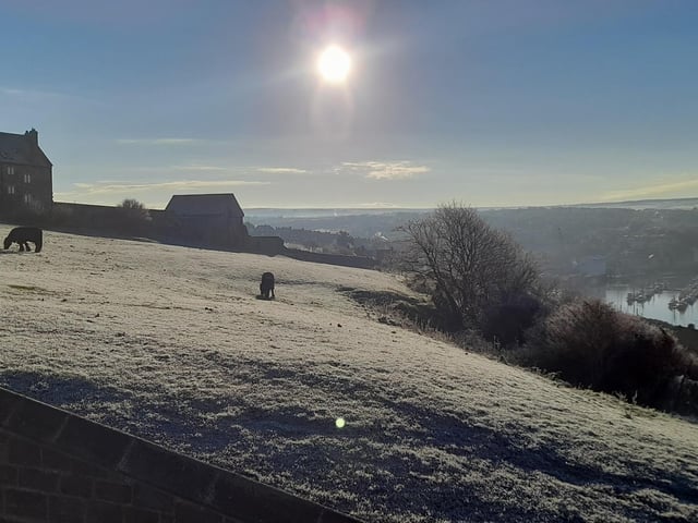 Frosty field next to the 199 Steps, Whitby.
picture: Carol Hibbit.