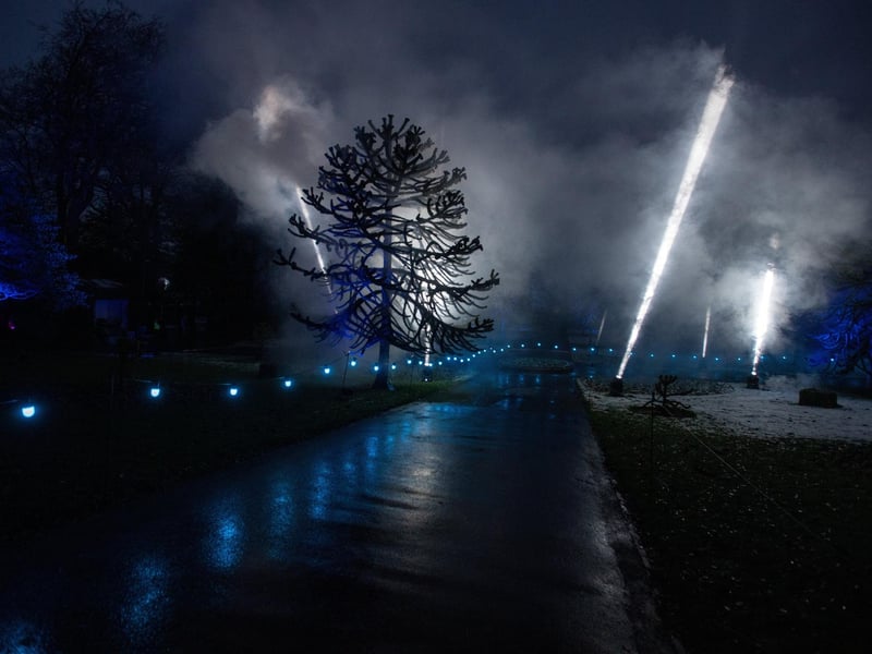 The dynamic lights stunned audiences of all ages.