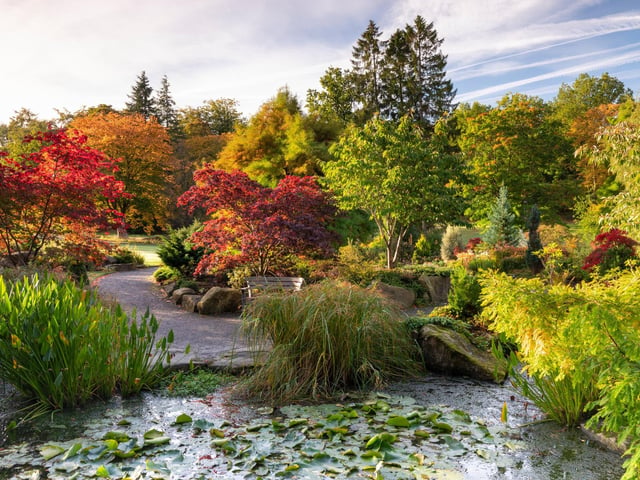 The Sandstone Rock Garden