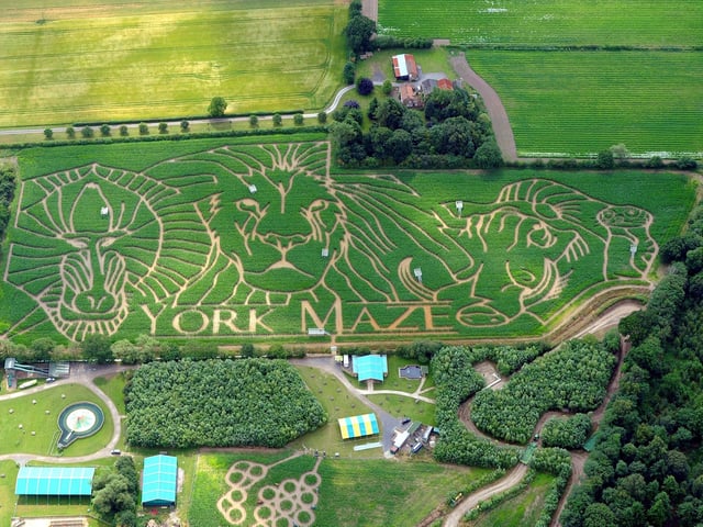 Our county is home to York Maize Maze, biggest in the UK, this award-winning maze is open throughout summer, also featuring more than 20 other attractions and activities.