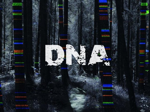 DNA by Dennis Kelly will take place at the Stephen Joseph Theatre in Scarborough, from May 8 until May 11. Dennis Kelly's dark comedy is the inaugural production from the SJT's Young Company. The Young Company is a new talent development programme for young creatives in Scarborough. It gives them the opportunity to develop skills for a career in the creative industries - come and support them on their journey! Age guidance: 13+