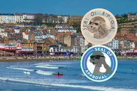 Inset, Ava's winning drawing and the official scheme logo.