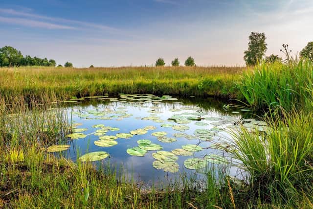 Biodiversity solutions